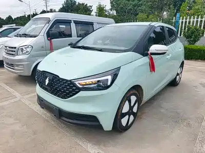 JMCG New Energy Yizhi EV3 2024