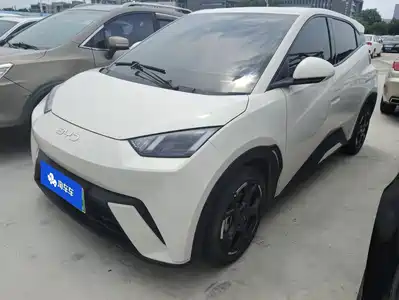 BYD Seagull 2024