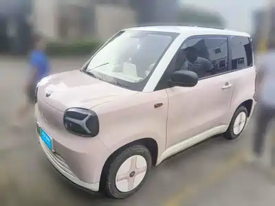 Zhido Rainbow 2024