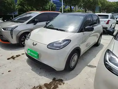 Wuling Motors Bingo 2024