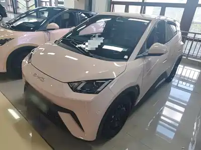BYD Seagull 2024
