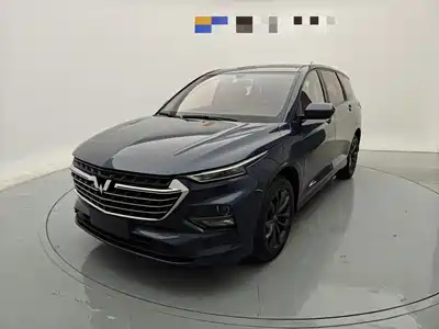 Wuling Motors Victory 2022