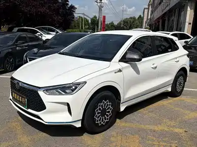 BYD e2 2022