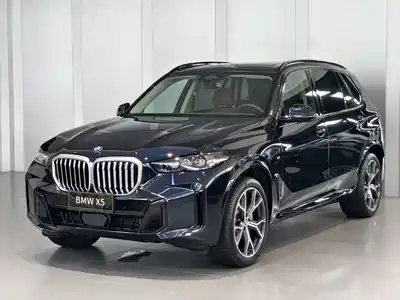 BMW X5 2025