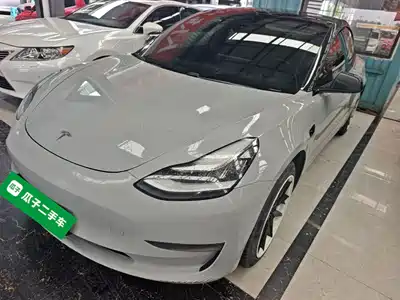 Tesla Model 3 (Import) 2019