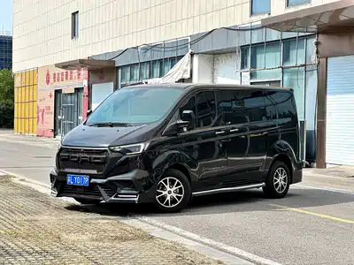 Ford Tourneo 2024