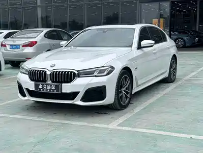 BMW 5 Series New Energy 2021