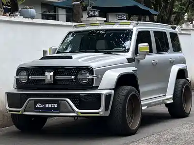 Crossboundary Auto Co-created Tank 300 2022
