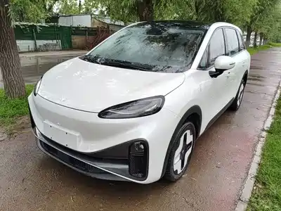 ARCFOX Koala S 2024