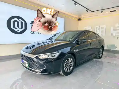 BYD Qin PLUS 2024