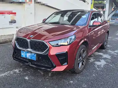 BMW X2 (Import) 2024
