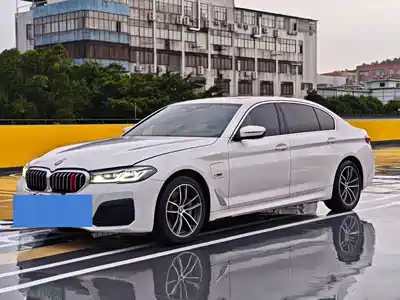 BMW 5 Series New Energy 2021