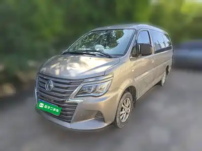 Dongfeng Fengxing Lingzhi 2020