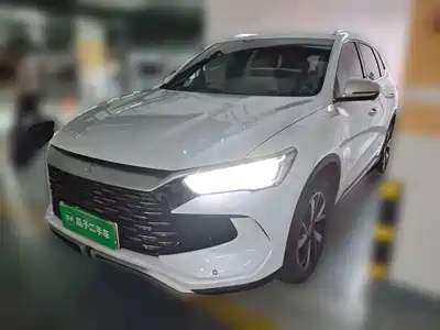 BYD Song Pro New Energy 2024