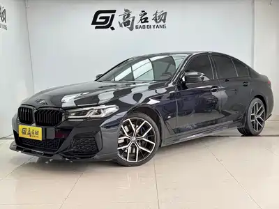 BMW 5 Series (Import) 2021