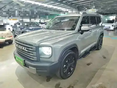 Haval Meng Long NEV 2024