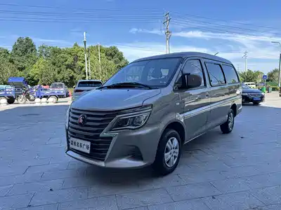 Dongfeng Fengxing Lingzhi 2024
