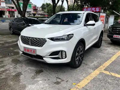 WEY VV6 2021