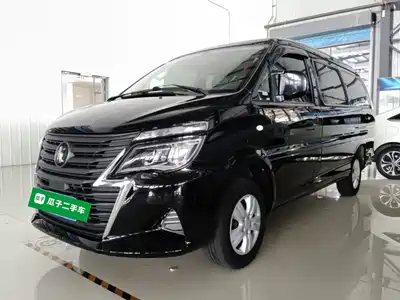 Dongfeng Fengxing Lingzhi 2023