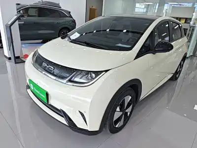 BYD Dolphin 2024