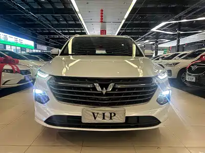 Wuling Motors Victory 2021