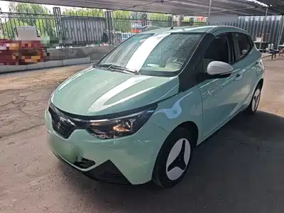 JMCG New Energy Little Kirin 2025