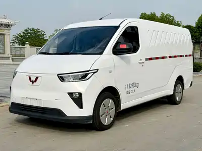 Wuling Motors Yangguang 2024