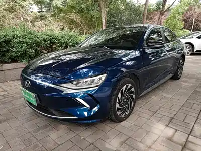 Hyundai Fista EV 2020