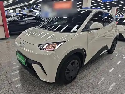 BYD Seagull 2024