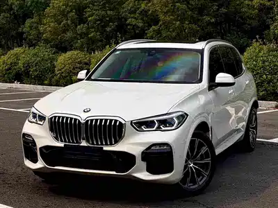 BMW X5 (Import) 2019