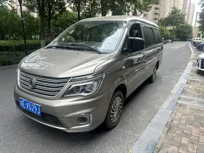 Dongfeng Fengxing Lingzhi 2019