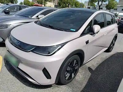 BYD Dolphin 2025