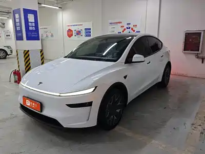 Tesla Model Y L 2025