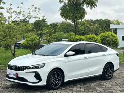 Geely Binrui 2025
