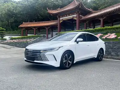 BYD Destroyer 05 2023
