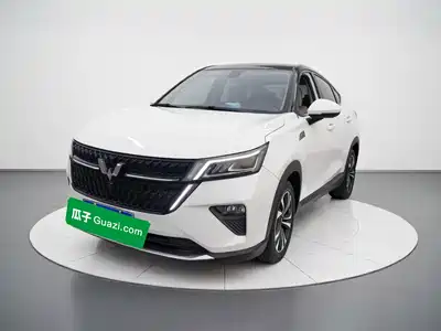 Wuling Motors Xingchen 2021