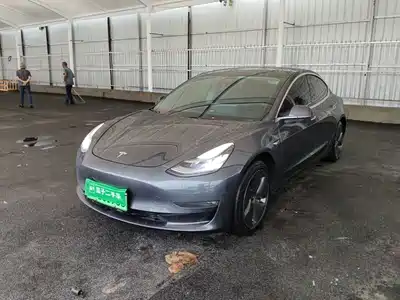 Tesla Model 3 (Import) 2019