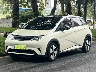 BYD Dolphin 2023