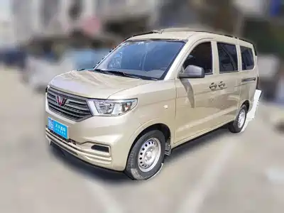 Wuling Motors Hongguang V 2020