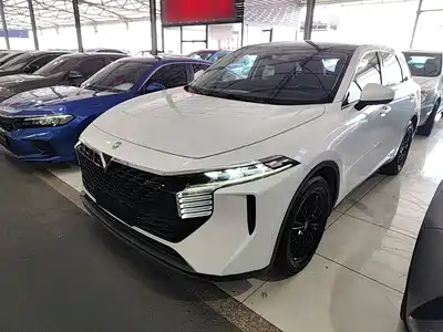 Venucia Big V 2022