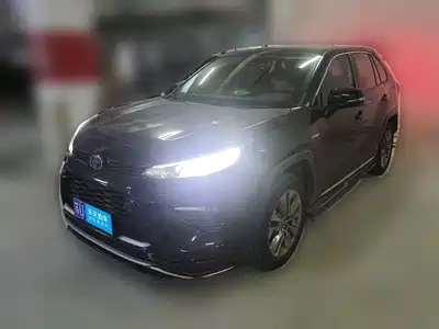 Toyota Wildlander 2021
