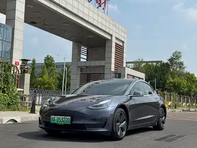 Tesla Model 3 (Import) 2019