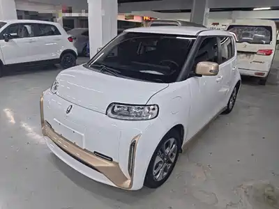 Ora White Cat 2022