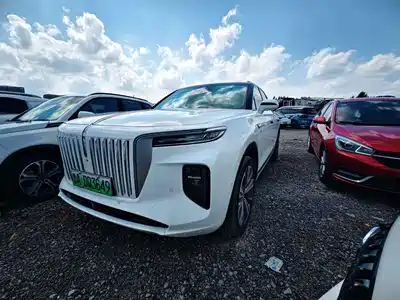 Hongqi E-HS9 2022