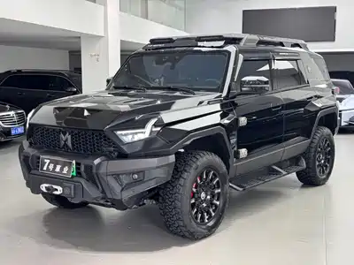 Mengshi 917 2023