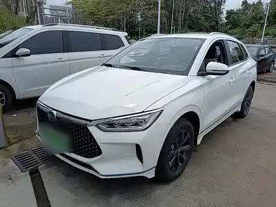 BYD e2 2021