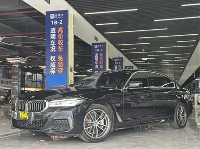 BMW 5 Series New Energy 2023