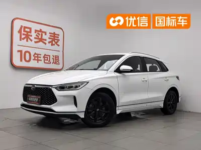 BYD e2 2019