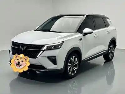 Wuling Motors Xingchen 2024