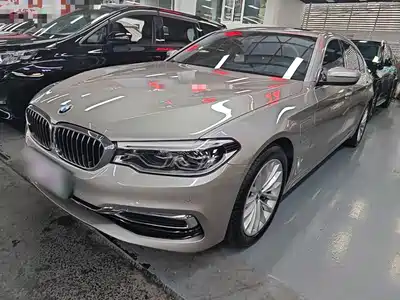 BMW 5 Series New Energy 2019